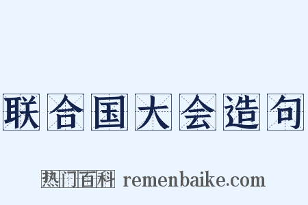 联合国大会造句是什么意思的图片